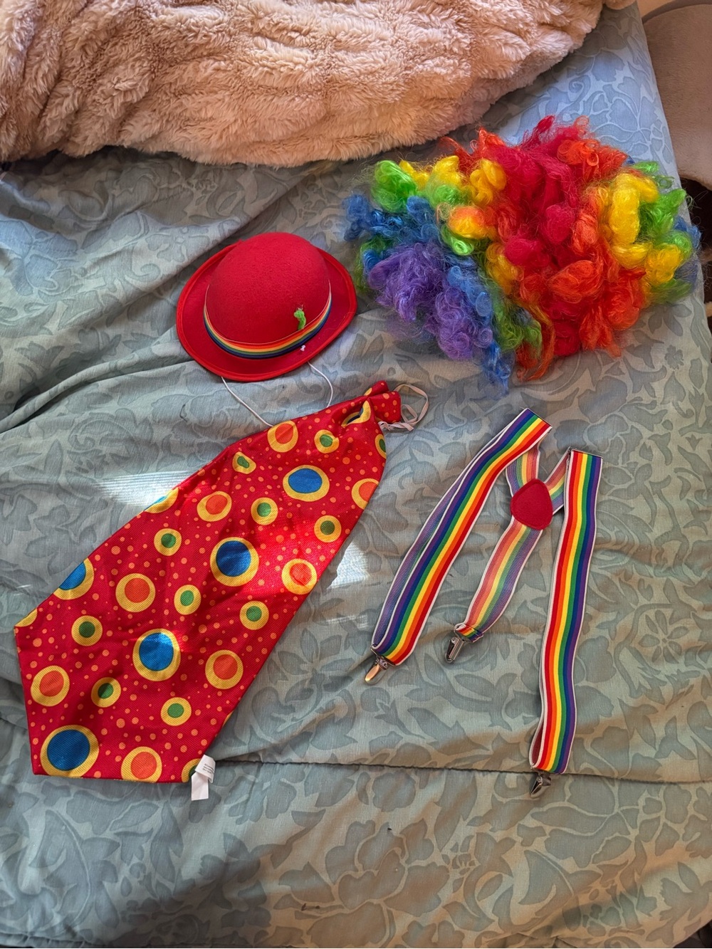 Clown costume accessories